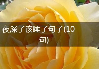 夜深了该睡了句子(10句)