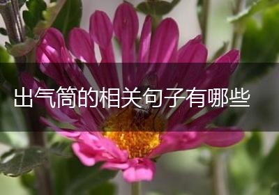 出气筒的相关句子有哪些