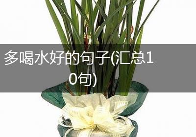 多喝水好的句子(汇总10句)