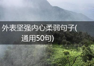 外表坚强内心柔弱句子(通用50句)