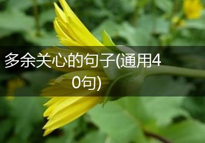 多余关心的句子(通用40句)