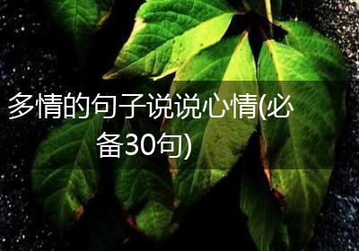 多情的句子说说心情(必备30句)