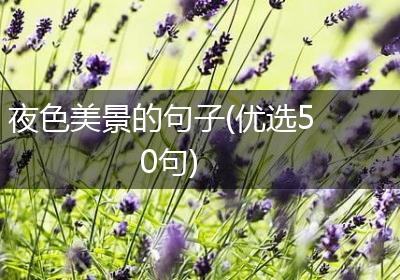 夜色美景的句子(优选50句)