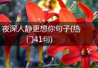 夜深人静更想你句子(热门41句)