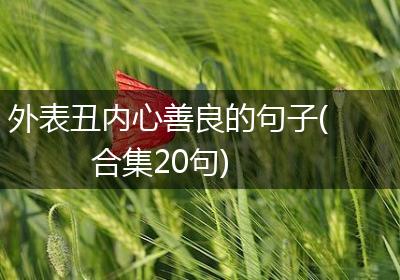 外表丑内心善良的句子(合集20句)