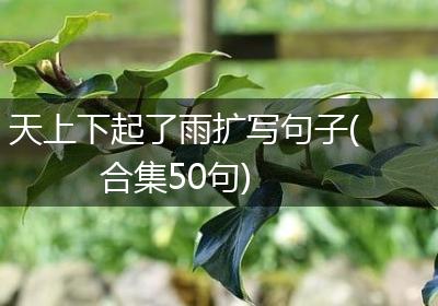 天上下起了雨扩写句子(合集50句)