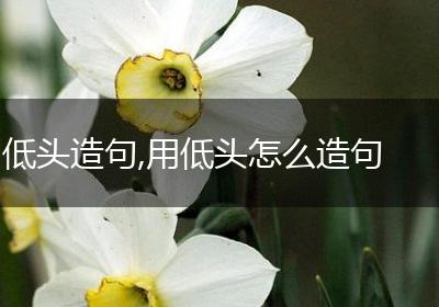 低头造句,用低头怎么造句