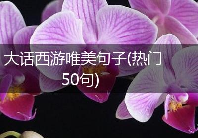 大话西游唯美句子(热门50句)