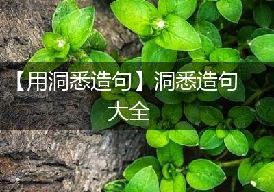 【用洞悉造句】洞悉造句大全