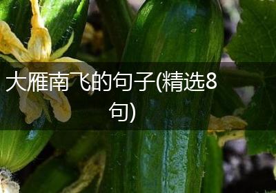 大雁南飞的句子(精选8句)
