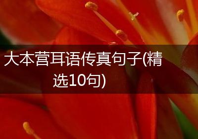 大本营耳语传真句子(精选10句)
