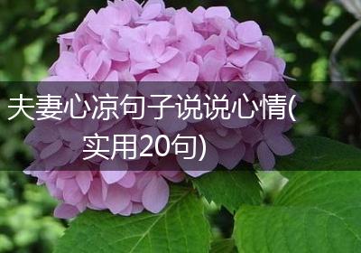 夫妻心凉句子说说心情(实用20句)