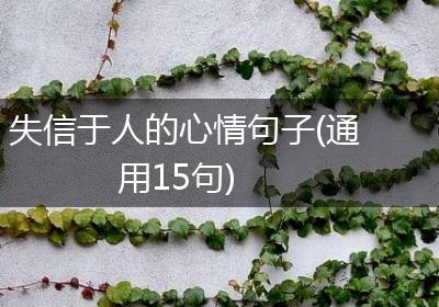 失信于人的心情句子(通用15句)