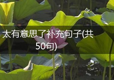 太有意思了补充句子(共50句)