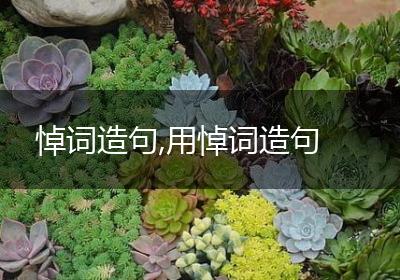 悼词造句,用悼词造句