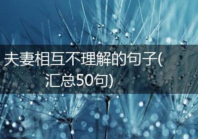 夫妻相互不理解的句子(汇总50句)