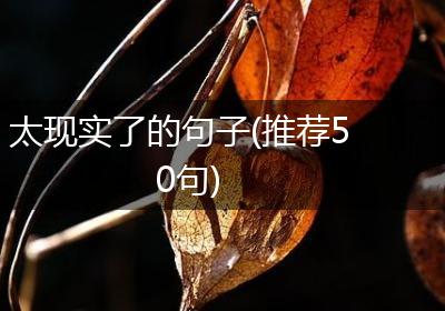 太现实了的句子(推荐50句)