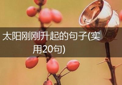太阳刚刚升起的句子(实用20句)