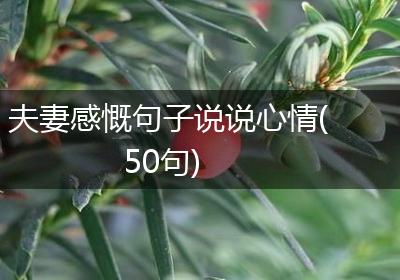 夫妻感慨句子说说心情(50句)