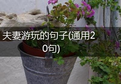 夫妻游玩的句子(通用20句)
