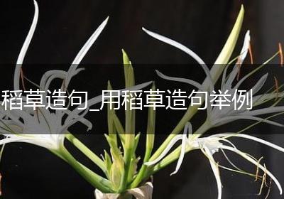 稻草造句_用稻草造句举例