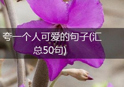 夸一个人可爱的句子(汇总50句)