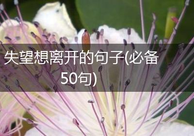 失望想离开的句子(必备50句)