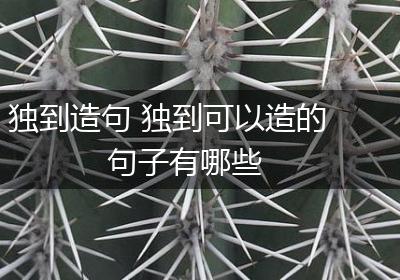 独到造句 独到可以造的句子有哪些