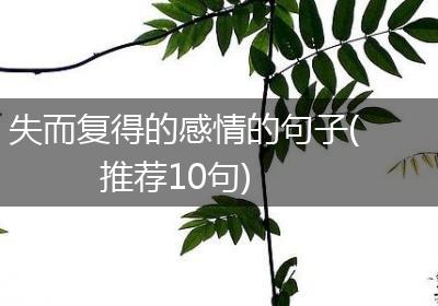 失而复得的感情的句子(推荐10句)