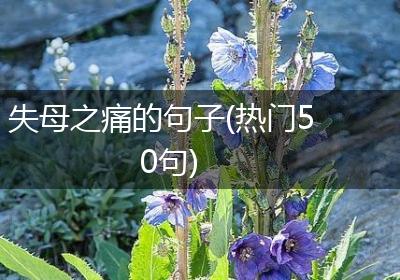 失母之痛的句子(热门50句)