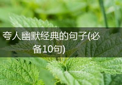 夸人幽默经典的句子(必备10句)