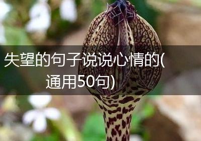 失望的句子说说心情的(通用50句)