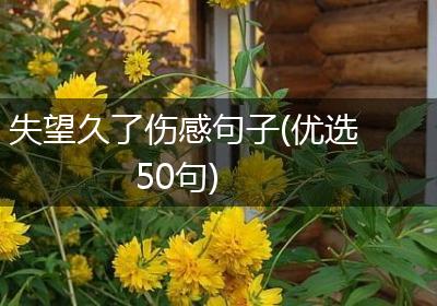 失望久了伤感句子(优选50句)