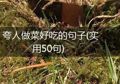 夸人做菜好吃的句子(实用50句)