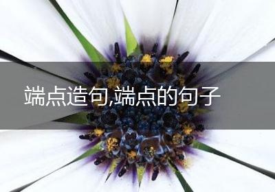 端点造句,端点的句子