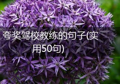 夸奖驾校教练的句子(实用50句)
