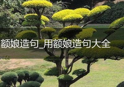 额娘造句_用额娘造句大全