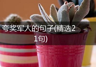 夸奖军人的句子(精选21句)