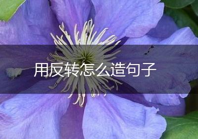 用反转怎么造句子