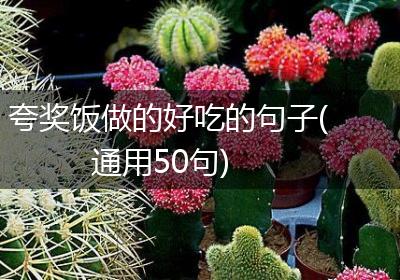 夸奖饭做的好吃的句子(通用50句)