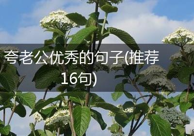 夸老公优秀的句子(推荐16句)