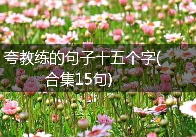 夸教练的句子十五个字(合集15句)