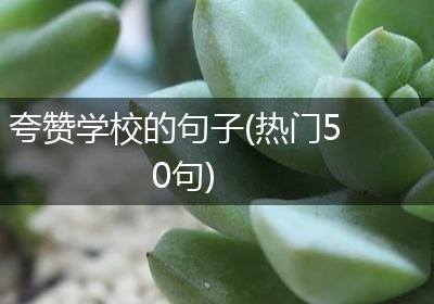 夸赞学校的句子(热门50句)