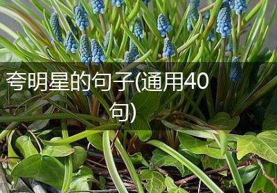 夸明星的句子(通用40句)