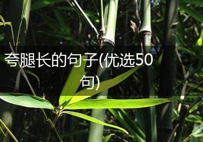 夸腿长的句子(优选50句)