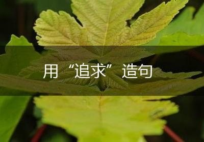 用“追求”造句