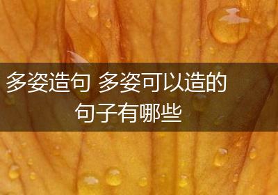 多姿造句 多姿可以造的句子有哪些