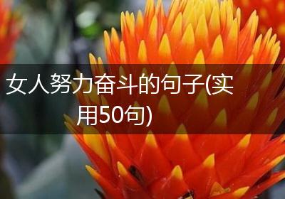 女人努力奋斗的句子(实用50句)