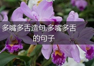 多嘴多舌造句,多嘴多舌的句子