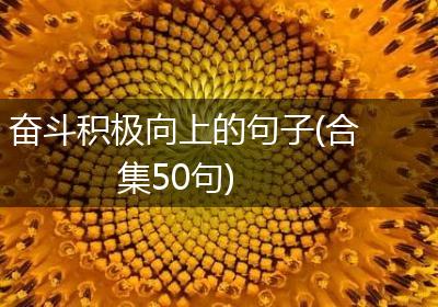 奋斗积极向上的句子(合集50句)